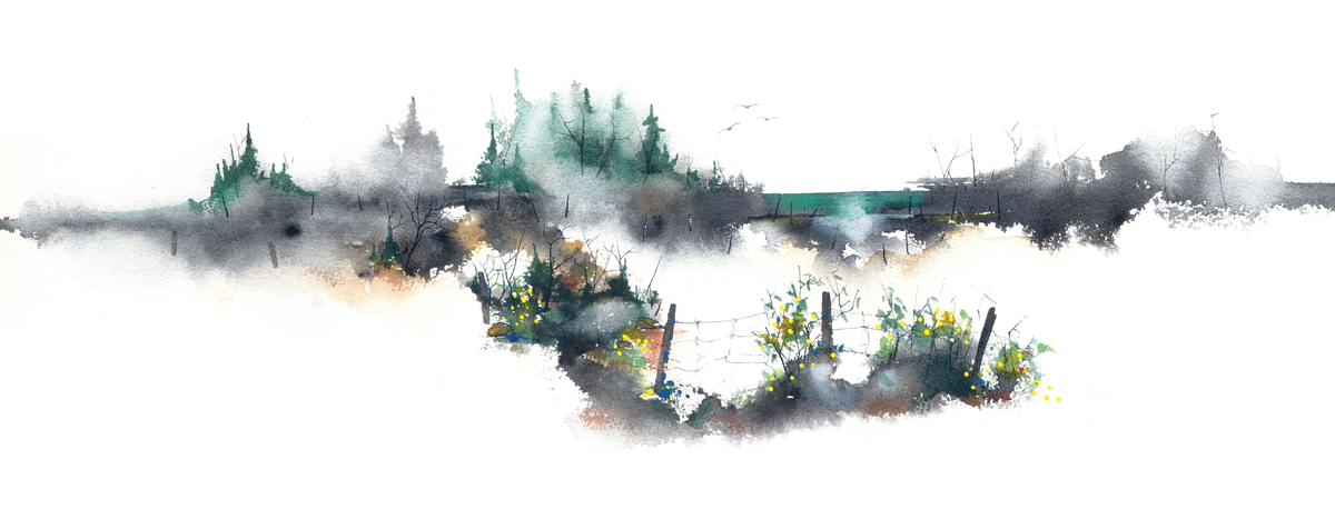 WETLAND