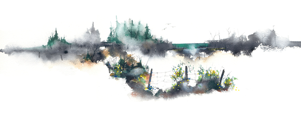 WETLAND
